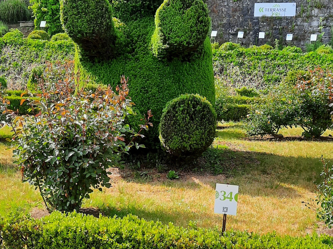 Topiary Park-德贝必去景点