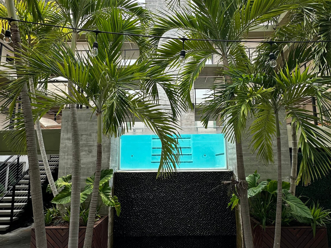 迈阿密海滩贝尔福酒店（摩根酒店原型）