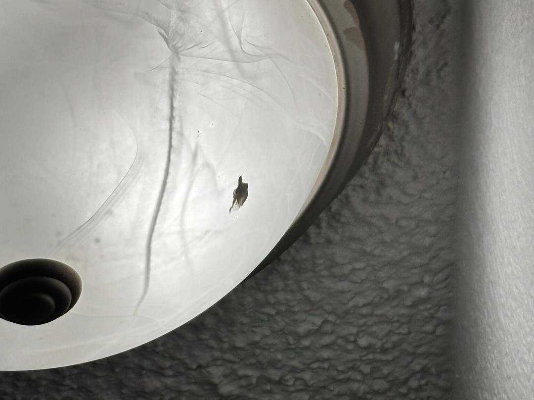 Ramada by Wyndham Spokane Valley主图