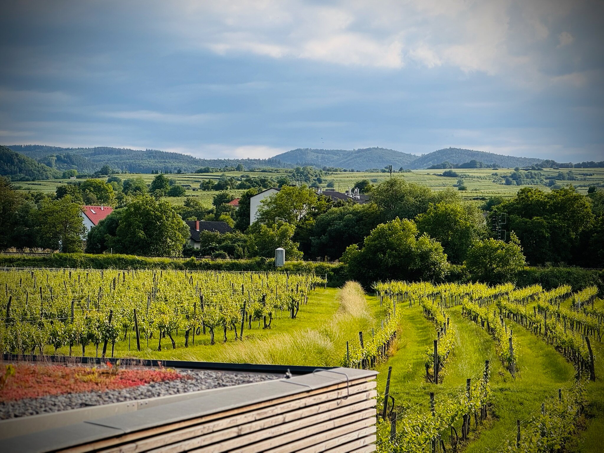 Malat Weingut und Hotel-浴室
