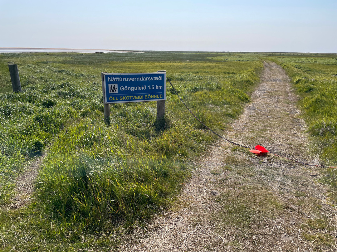 Raudasandur Beach-Latrabjarg必去景点