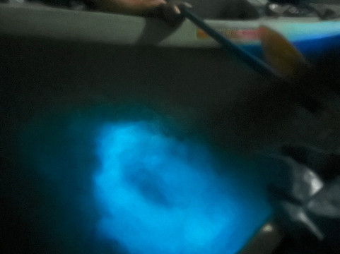 JAK Water Sports-维切克岛必去景点