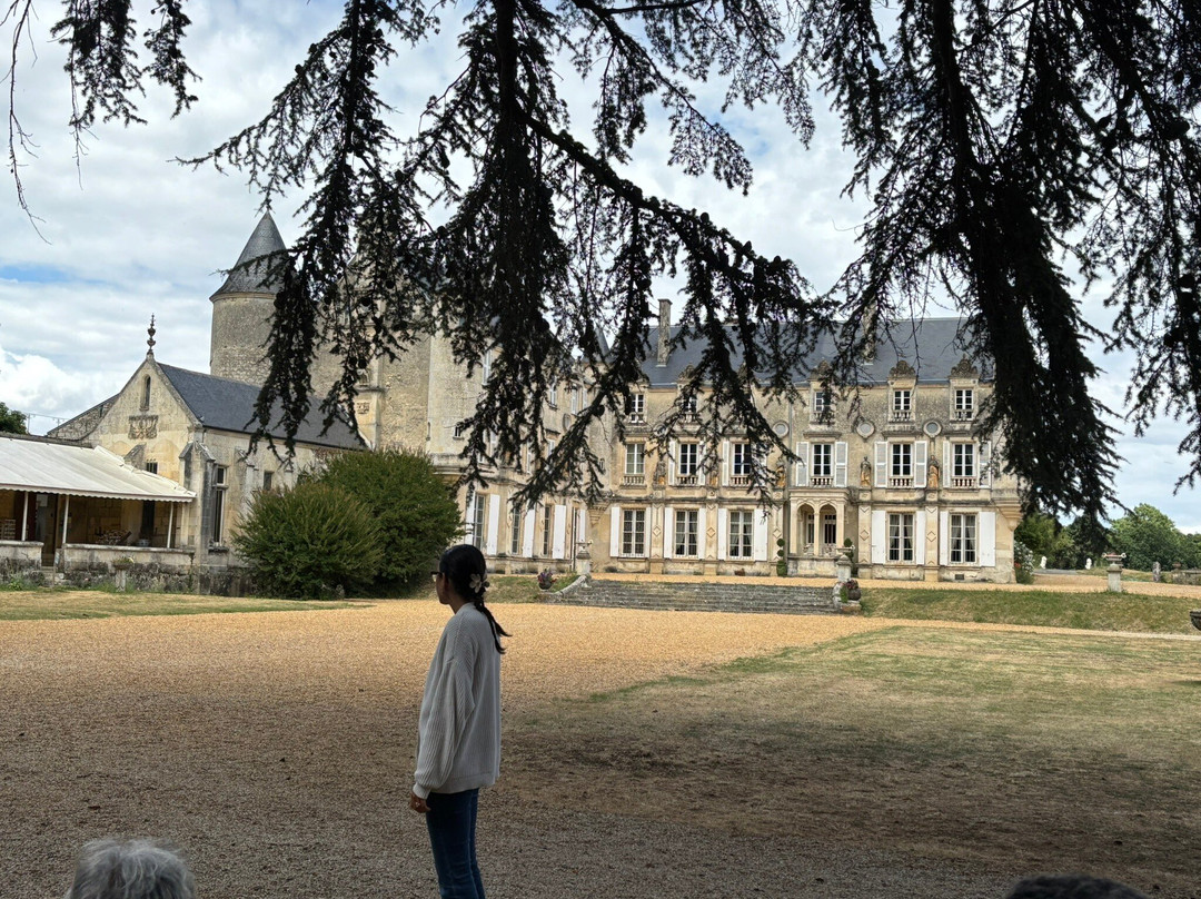 Château de Terre Neuve-Fontenay-le-Comte必去景点