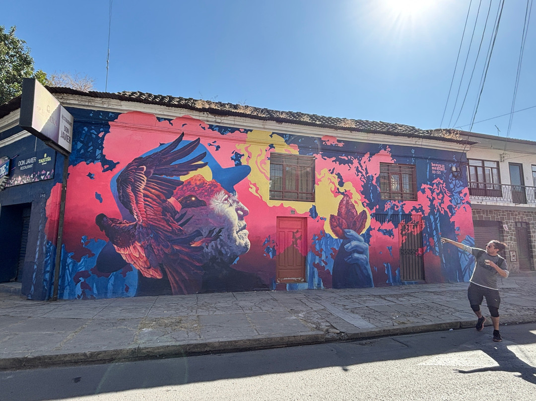 Bike Art Cocha-科恰班巴必去景点