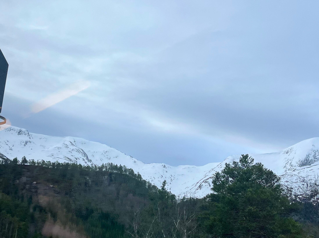 Bergen to Oslo Train Ride-卑尔根必去景点