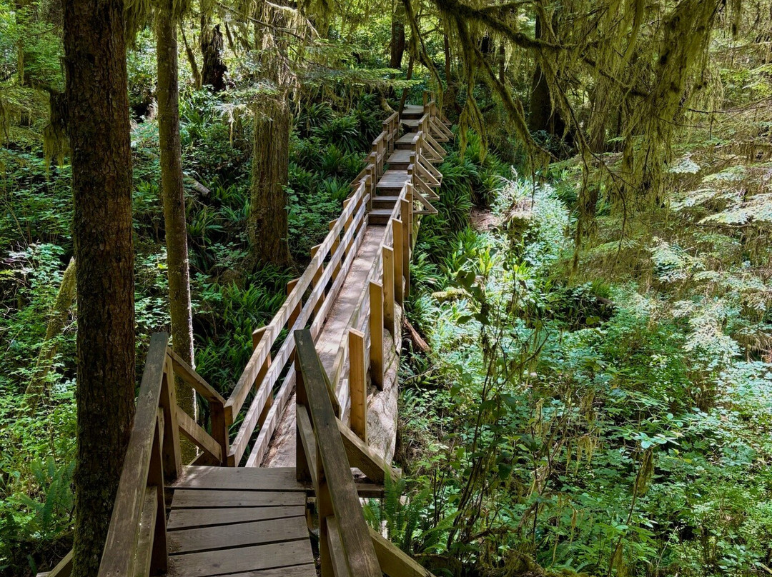 Rainforest Trail-托菲诺必去景点