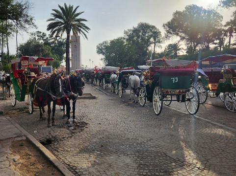 Marrakech Expert Services-马拉喀什必去景点