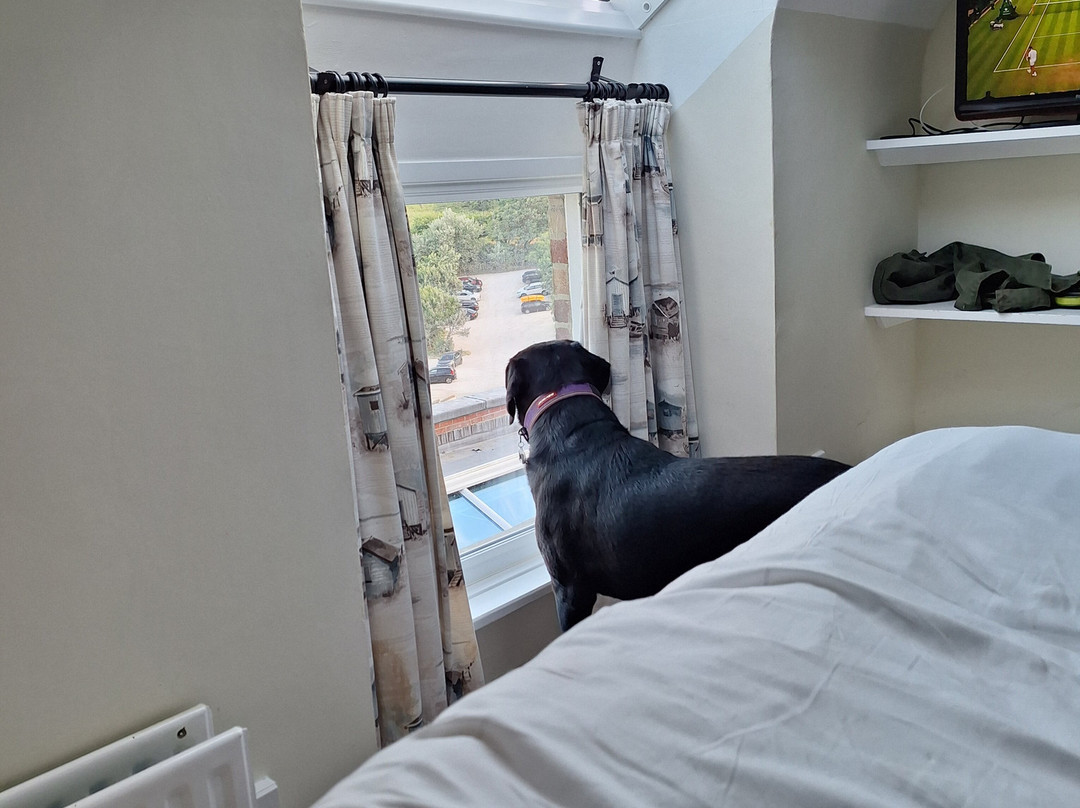 Durdle Door Hotel主图