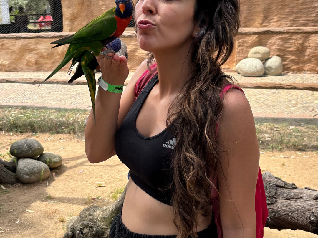 Zoo Safari Fauna Aventura-Hinojosa de San Vicente必去景点