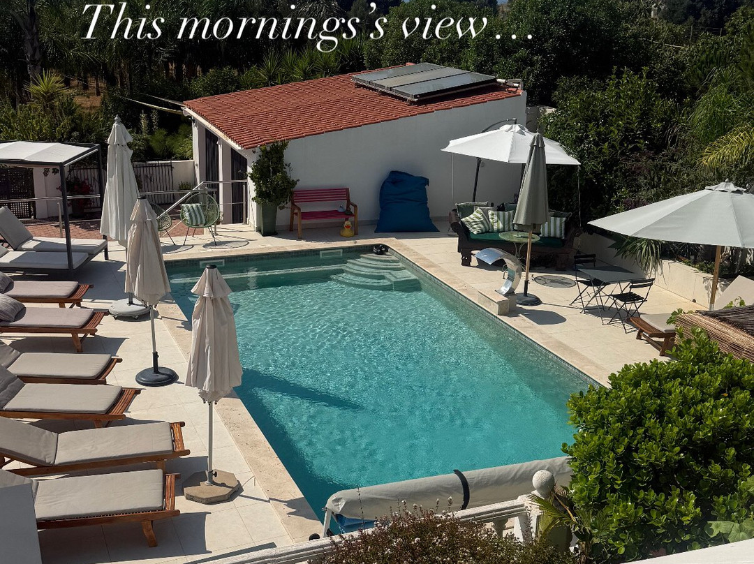 Palm View Guesthouse主图