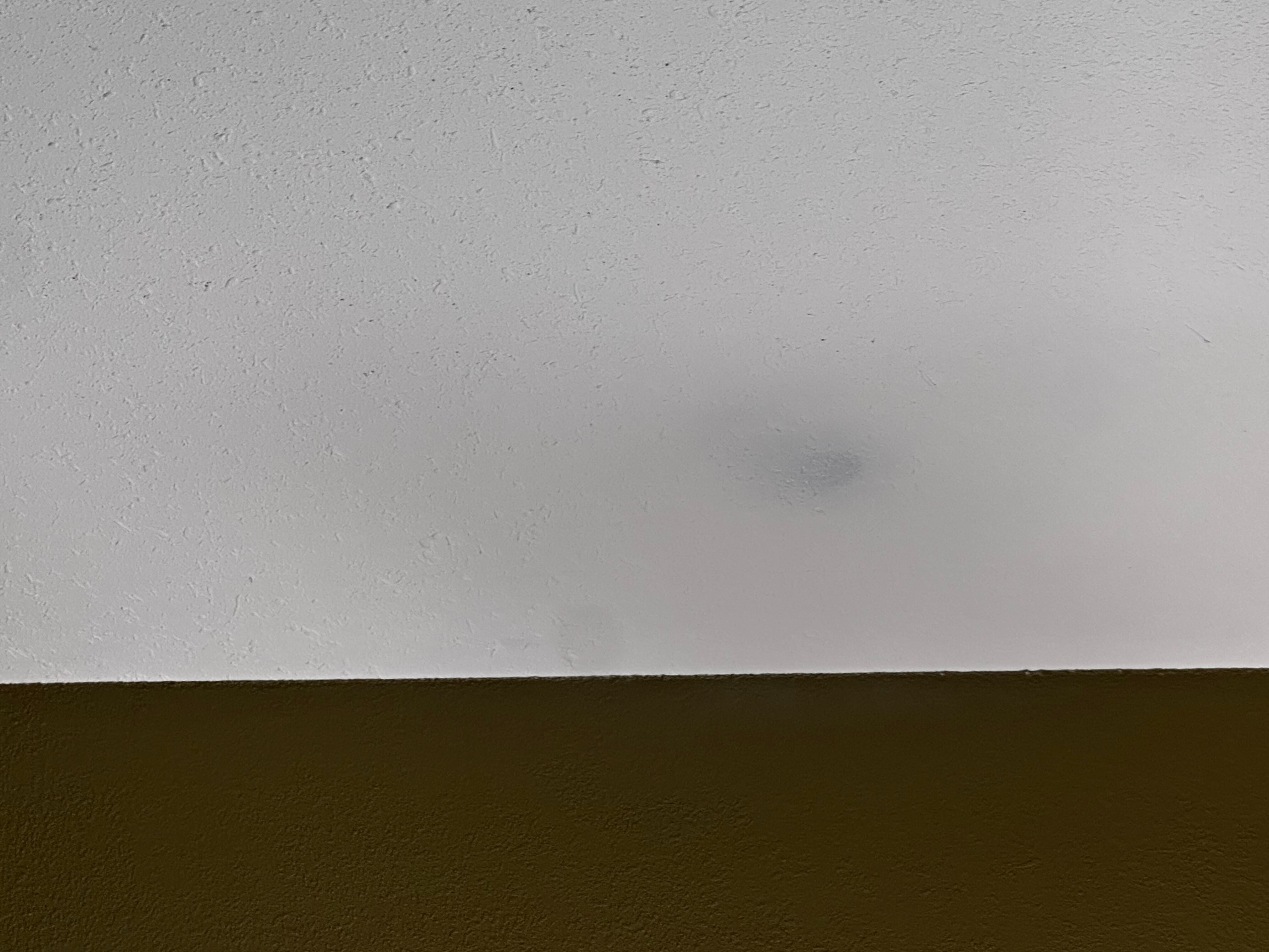 Best Western Plus Thornburg Inn & Suites-客卧