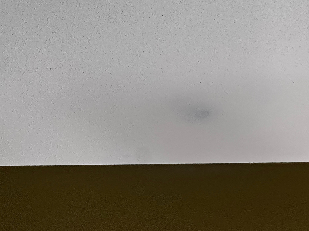 Best Western Plus Thornburg Inn & Suites主图