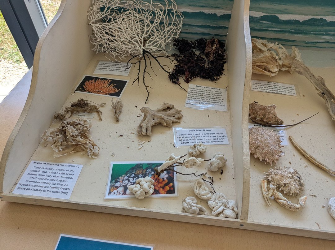Dorset Wildlife Trust Wild Chesil Centre-Isle of Portland必去景点