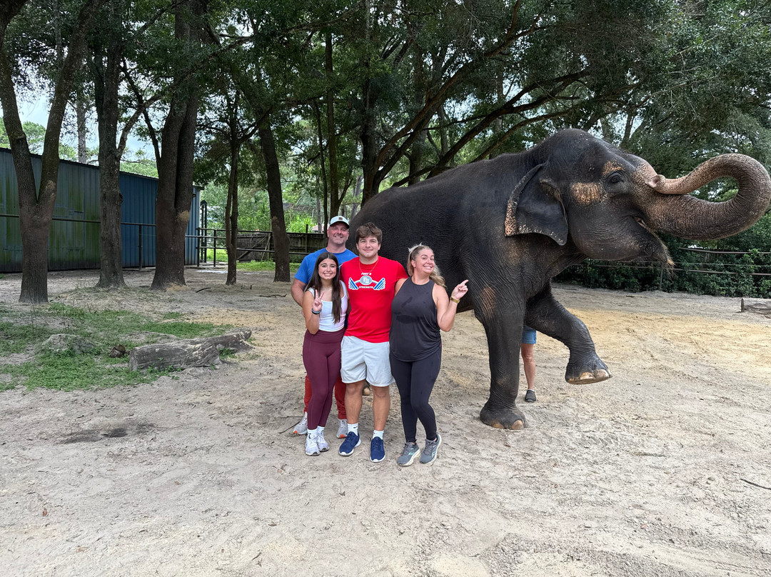Two Tails Ranch: All About Elephants-Williston必去景点