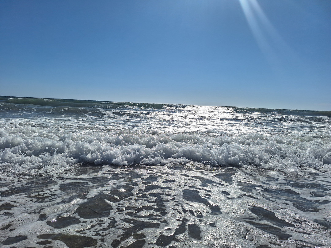 Adonis Hotel & Apartments主图