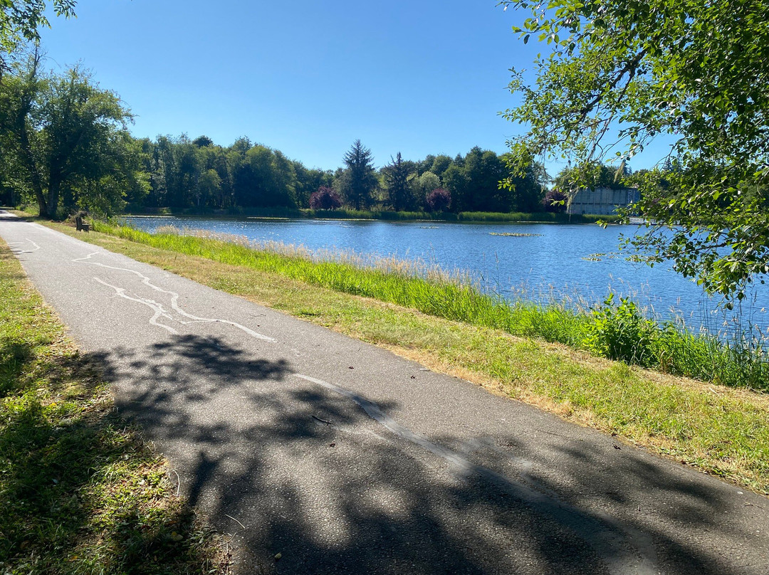 Fishhawk eCyclery-Vernonia必去景点