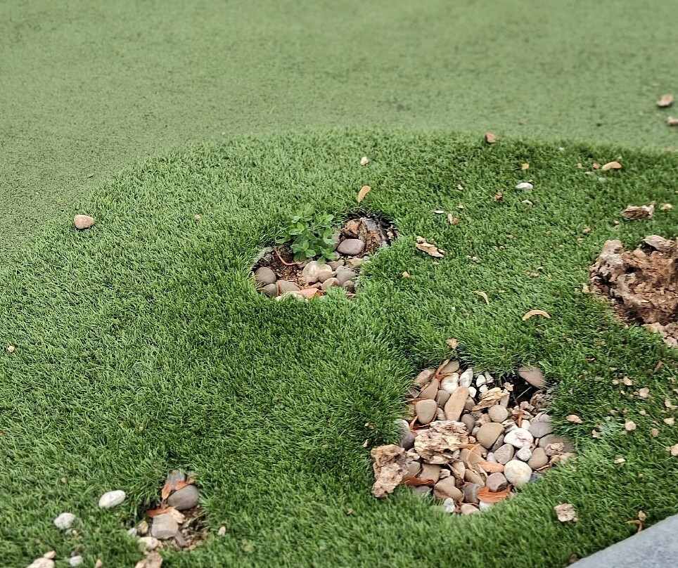 Highfields Park Adventure Golf-诺丁汉必去景点