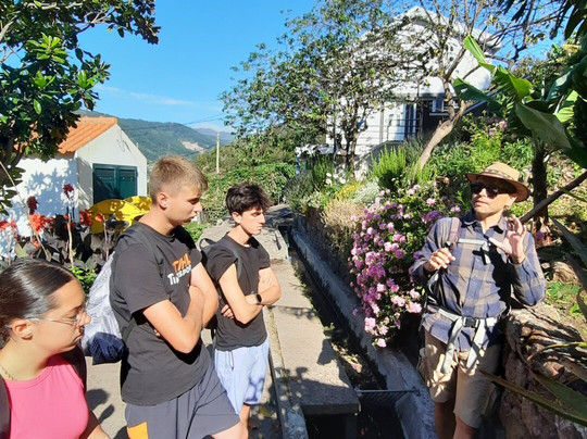 Madère Intime-马德拉群岛必去景点