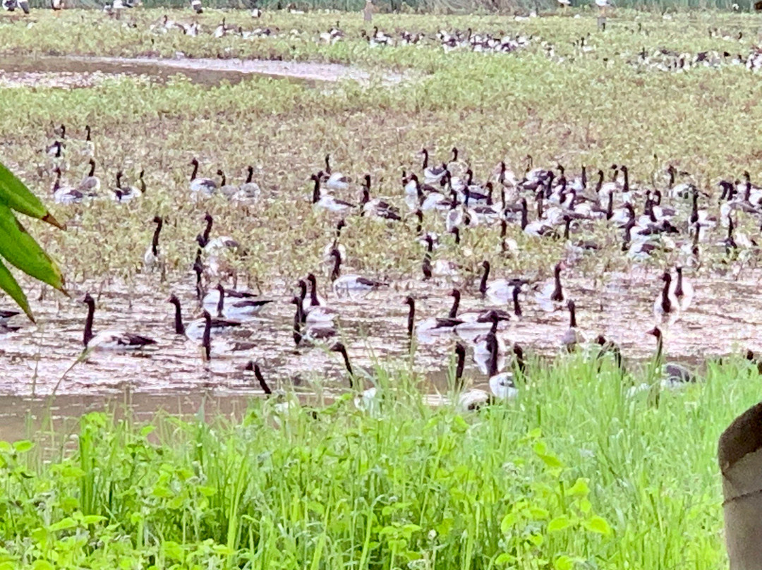 Blue Summit Hideaway主图