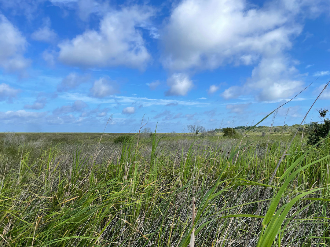 Coastal Kayak Touring Company-Duck必去景点