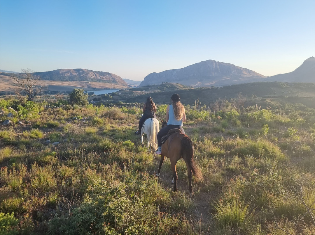 Horse Trekking Sicily-Marineo必去景点