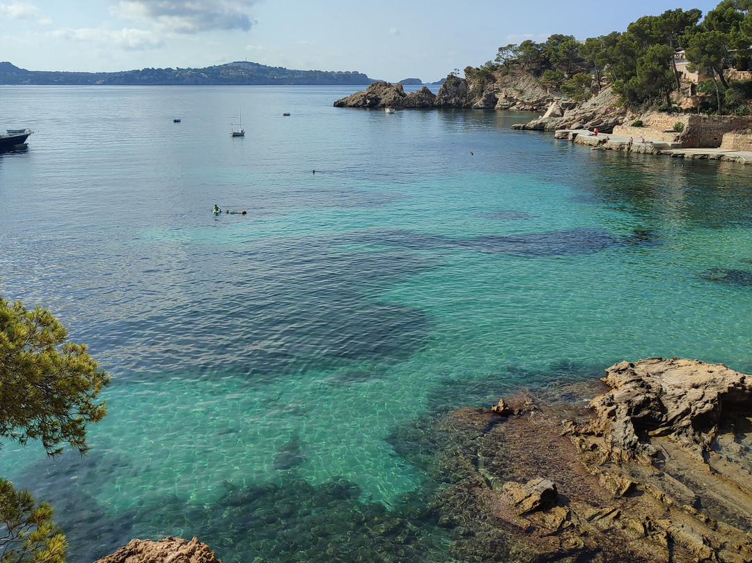 Camp de Mar Beach-Camp De Mar必去景点