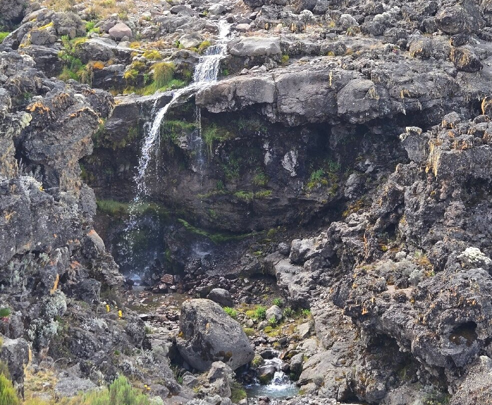 Dotcom Safaris Ltd-莫西必去景点