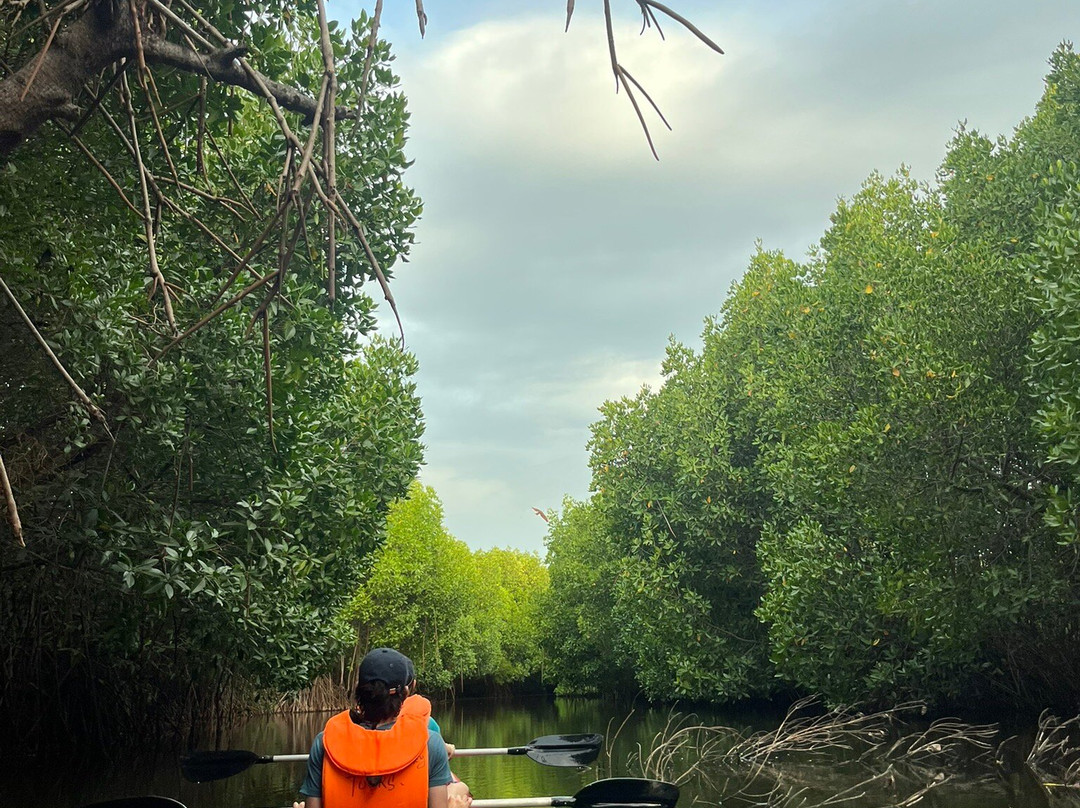 Ecologix Divers-Pasikuda必去景点