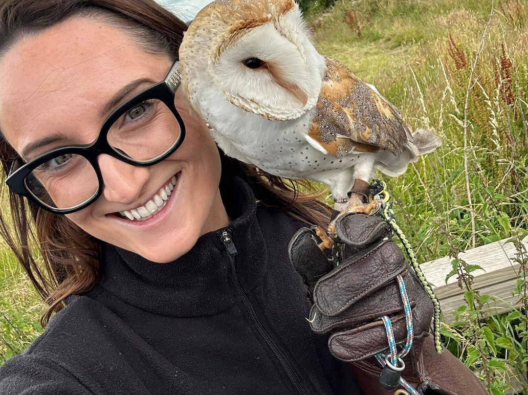 Killarney Falconry-基拉尼必去景点