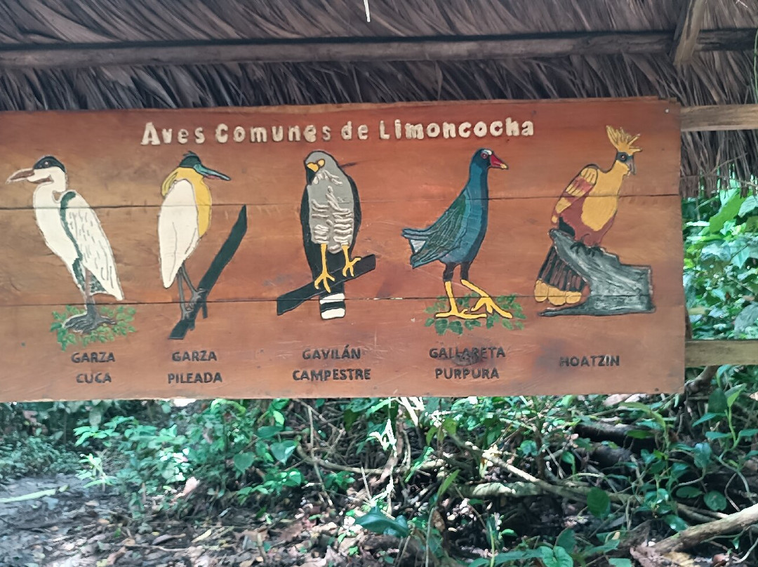 Limoncocha National Biological Reserve-Limoncocha必去景点
