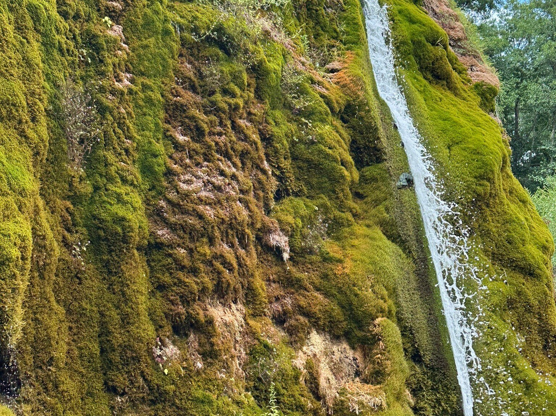 Wasserfall Dreimühlen-Uxheim必去景点
