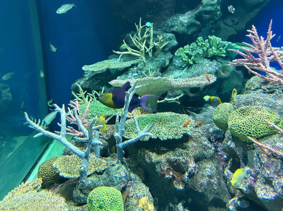 Aquas-滨田市必去景点