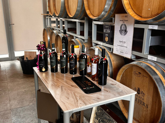 Tenuta Ca'lufera-佩斯基耶拉德尔加尔达必去景点