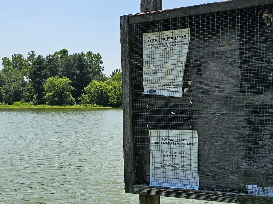 Cow Pond-埃尔克顿必去景点