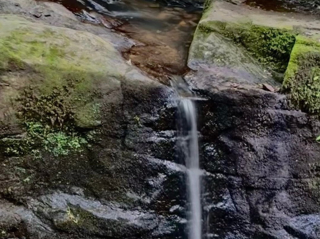 Fairy Glen-Appley Bridge必去景点