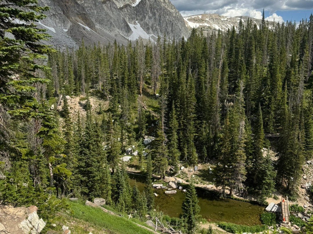 Medicine Bow National Forest-拉勒米必去景点