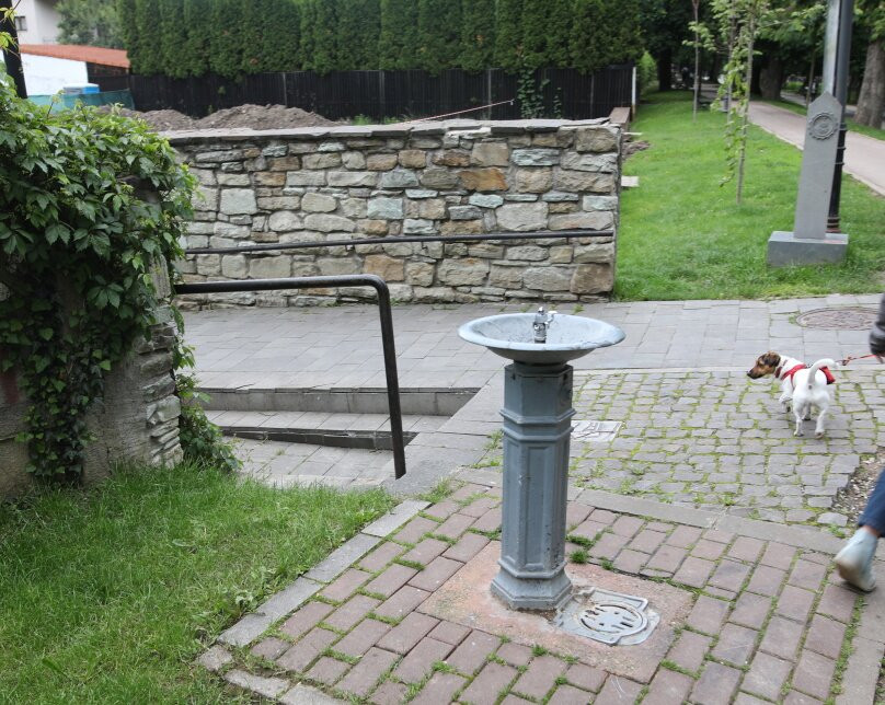 Forteresse Médiévale De Bistrița-Bistrita Bargaului必去景点