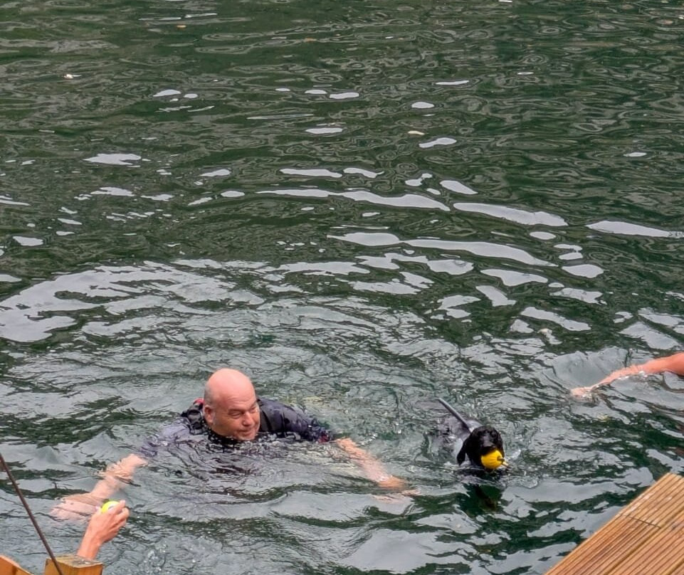 Hangloose Adventure Bluewater-达特福德必去景点