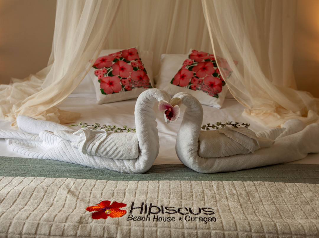 Hibiscus Beach House bed & breakfast主图