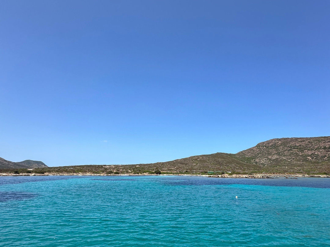 Asinara Sailing - Day Tour-斯廷蒂诺必去景点
