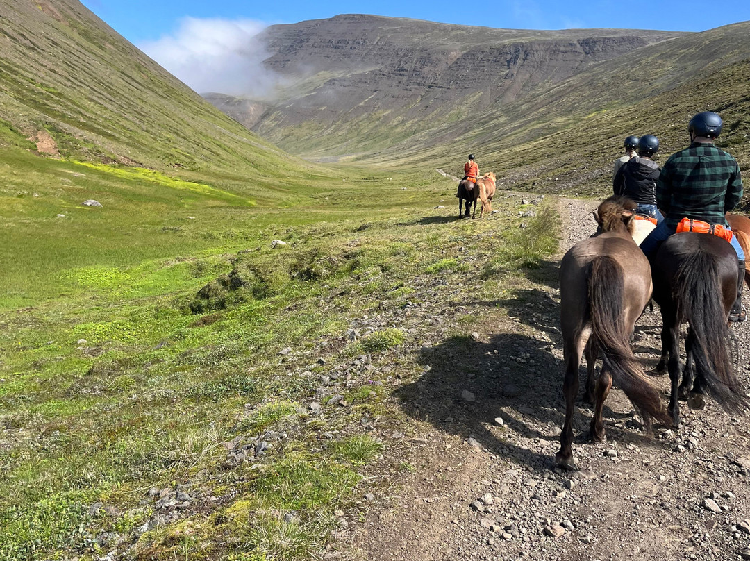 Hestasport - Riding Tours-Varmahlid必去景点