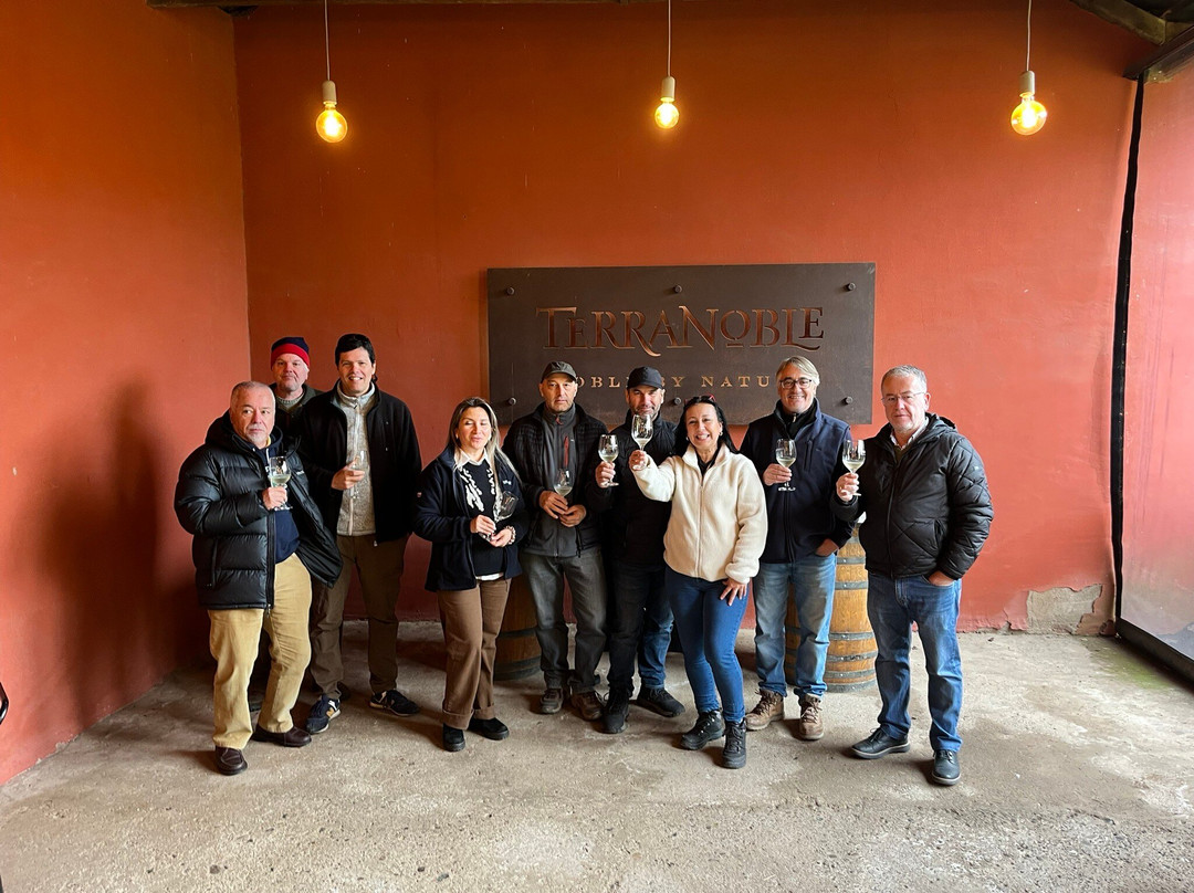 Viña Terranoble-San Clemente必去景点