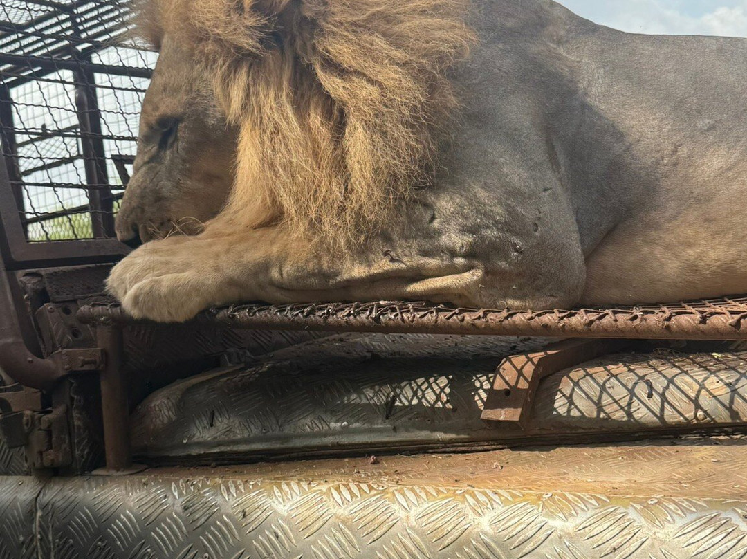 Reserve De Bandia-Saly必去景点