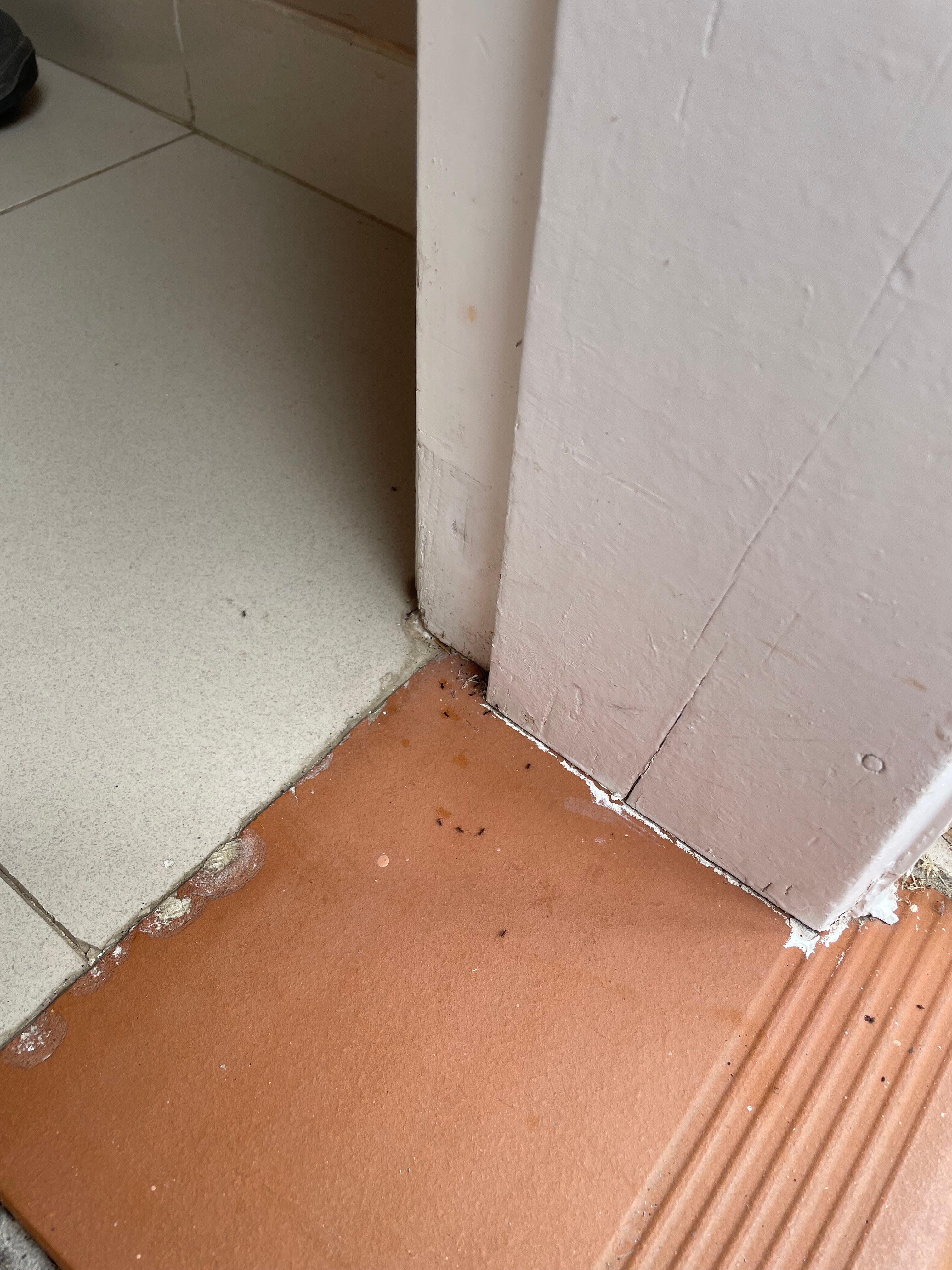 拉金塔公园套房酒店-官方