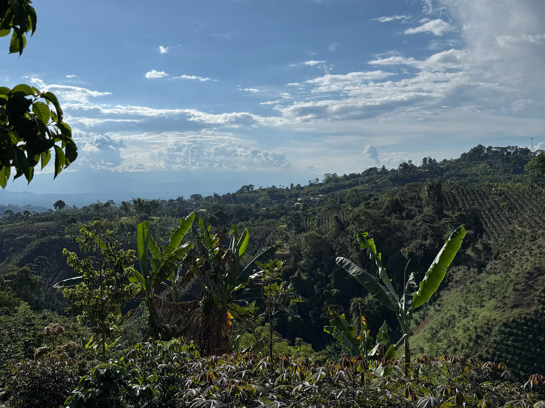 Rural Adventure-Filandia必去景点