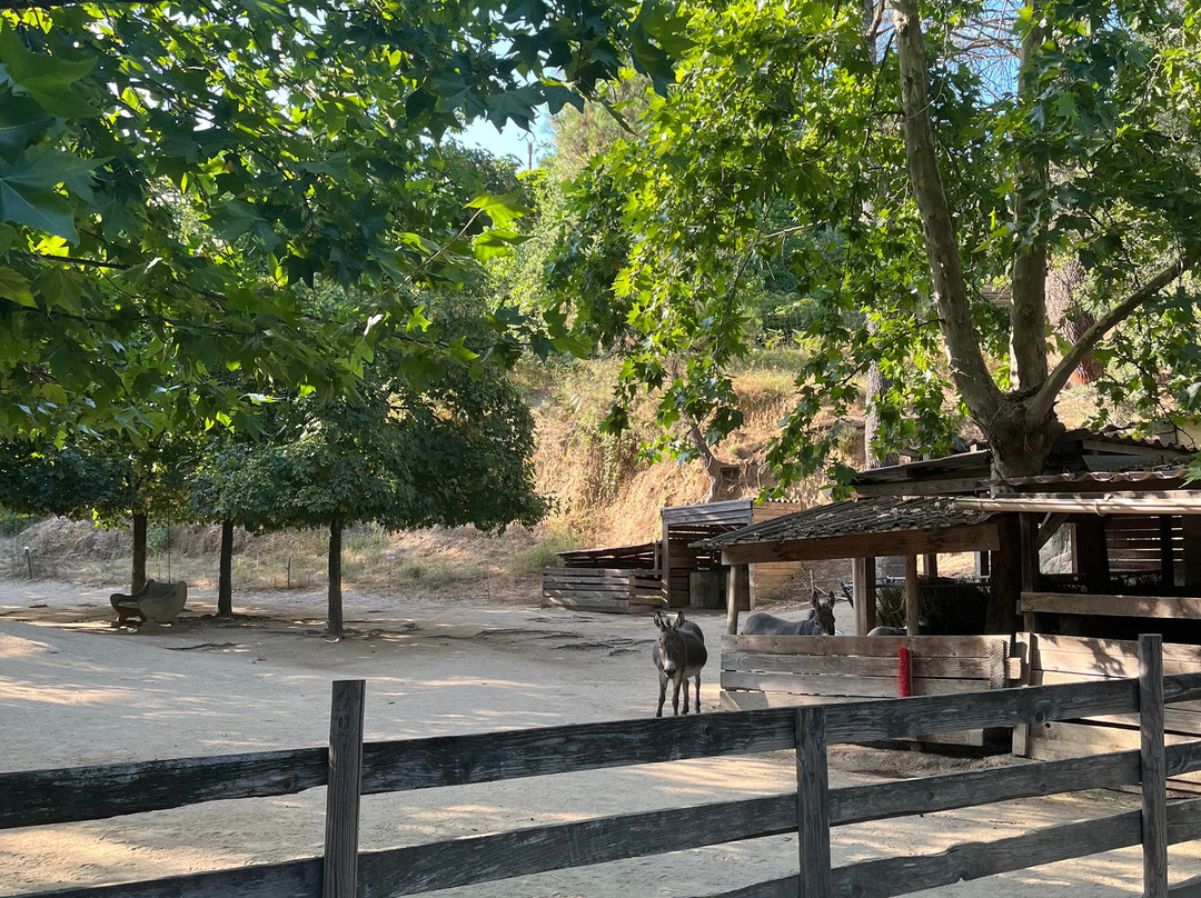 Jardin Animalier de Mialet-Mialet必去景点