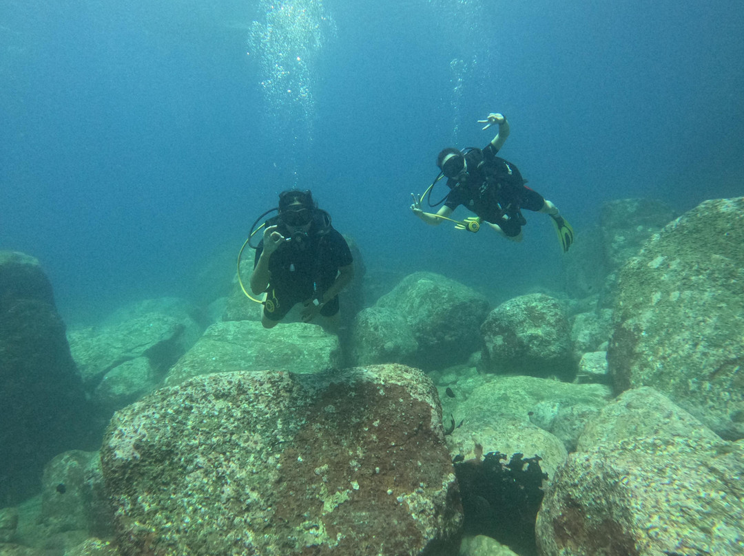 Poseidon Diving Station Sri Lanka-尼拉瓦利必去景点