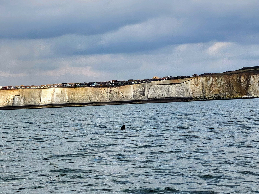 Sussex Boat Trips-Newhaven必去景点