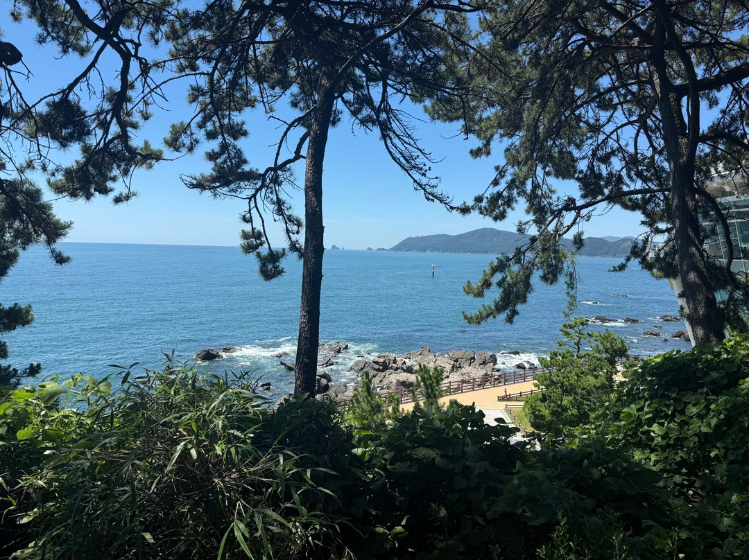 Dongbaekseom-釜山必去景点