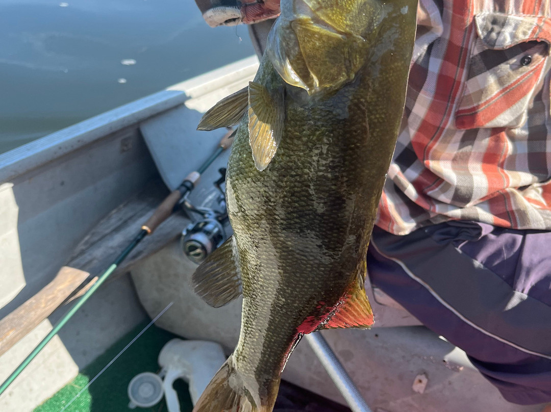 Foxburg Tours-Foxburg必去景点